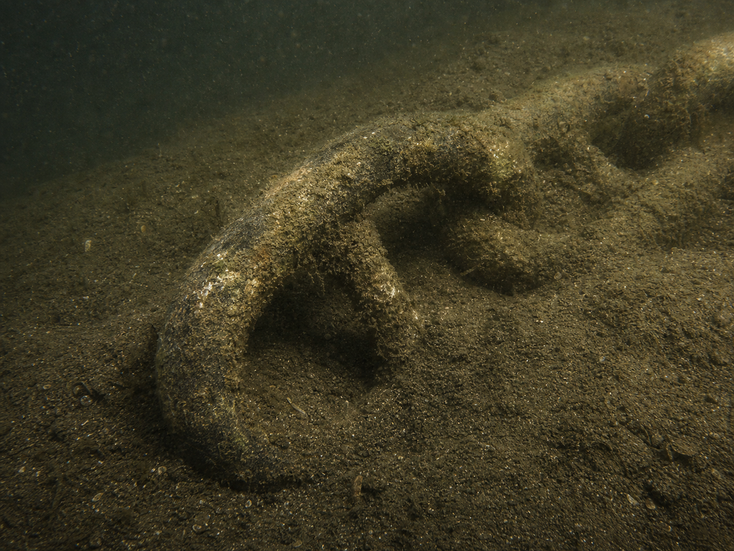 Corroded anchor chain harbour bottom
